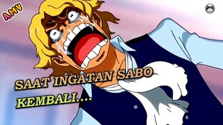 Ketika Sabo Sadar Bahwa Ace Sudah Tewas