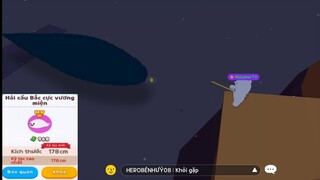 PLAY TOGETHER Săn Hải Cẩu Vương miện Siêu Hiếm con Bóng4 Còn Thiếu Của HG Gamer