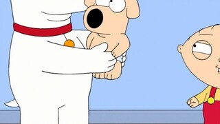 In order to win back the changed Brian, Stewie decided to give him a baby