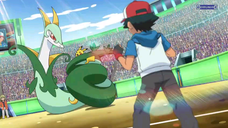 Pokemon Best Wishes Episode 104 Sub Indo