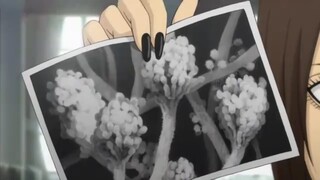 Moyashimon: Tales of Agriculture sub indo EP 1