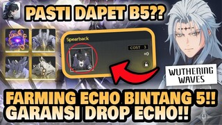 TUTORIAL FARMING ECHO BINTANG 5!! Pasti Dapet Echo B5?? 🤔 | Wuthering Waves