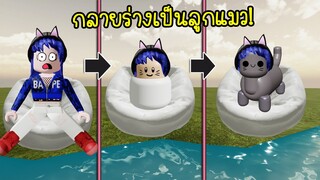 ถ้าคนกลายเป็น..ลูกแมว! | Roblox Cats Life