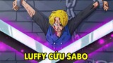 Tình Trạng Sabo Hiện Tại, Anh Trai Luffy Còn SỐNG Hay Đã CHẾT | Phân Tích One Piece