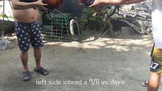 Bitaw vs dayo