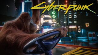 Monkey driving in Cyberpunk 2077