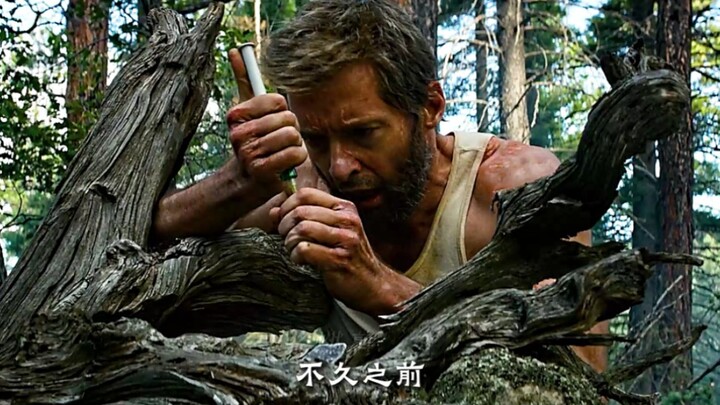 【金刚狼】泪奔于坟墓前歪倒的十字架