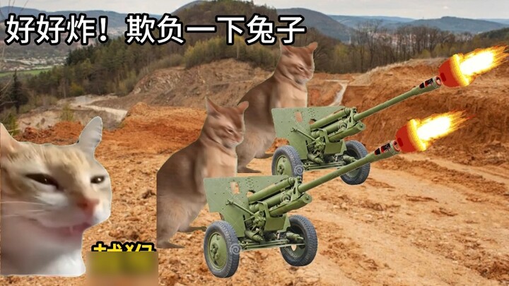 The truth is only within the range of the cannon