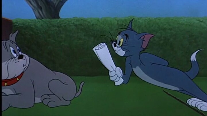 Mở Tom và Jerry the Honkai Impact 3 chiều ⑲