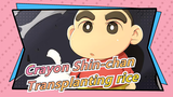 Crayon Shin-chan|[Classical Scenes]Experience of transplanting rice