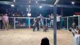 Brgy.Tangnan 3rd fight win 3 cock derby