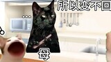 【Cat MEME】Come on, it’s dad’s baby, so cool, okay?