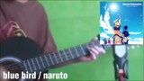 Blue Bird (Naruto Shippuden Opening) Short Cover