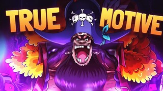 Will BLACKBEARD Get A Third Devil Fruit | His TRUE Motives - One Piece