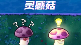今日份灵感菇，灵感菇离菇离刮擦灵感菇灵感菇