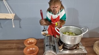 Chef ABU Harvest Squash Cook To Feed Abigail