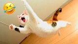 Best Funny Animal Videos Of The 2023 🤣 - Funniest Cats And Dogs Videos 😺😍