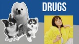 Drugs but Dogs Sung It (Doggos and Gabe)