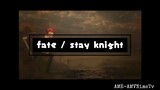 fate / stay knight