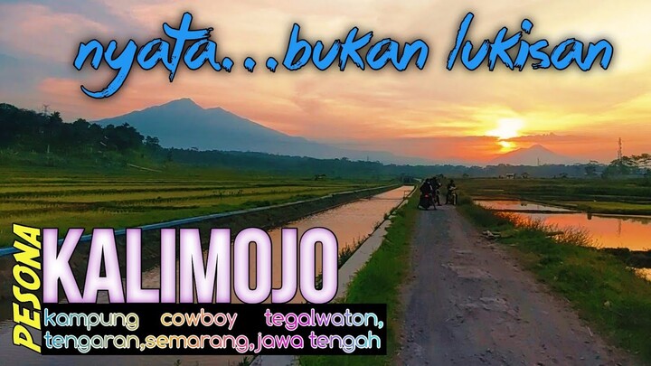 Menyusuri Kanvas Golden Sunset di Kalimojo Kampung Cowboy Tegalwaton