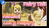 Fairy Tail|Daily life of the idiot couple and the cat (I)【Natsu&Lucy&Happy】_3