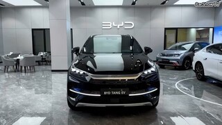 Byd electric car 2024