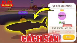 Cách Săn "Cá Mập Greenland" Vip Nhất Trong Hố Xanh, Thời Gian Chuẩn Nhất | Play Together