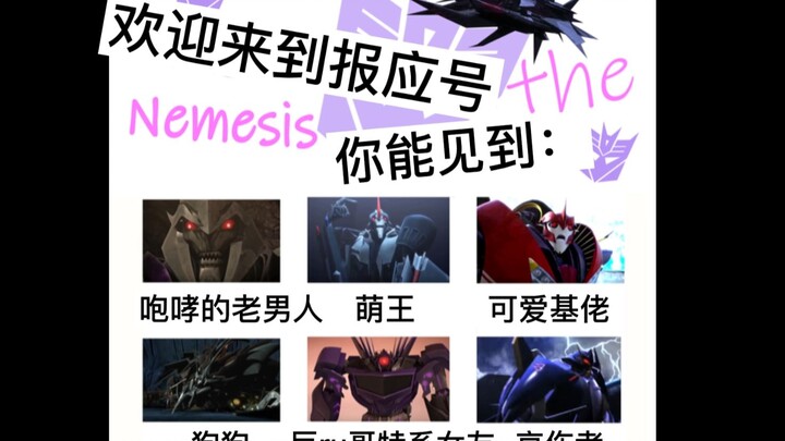 【Transformers】Those ridiculous memes【Issue 6】