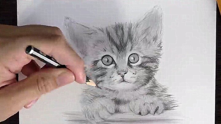 [Vẽ tranh] Thử thách vẽ chú mèo con bằng tay trái