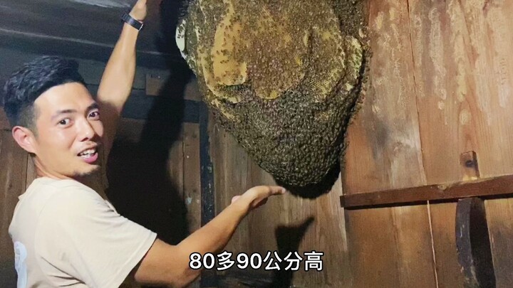 A giant honeycomb suddenly appears in the old house. It cannot be carried by one person. Ziwei takes