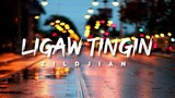 ZILDJIAN -  LIGAW TINGIN | LYRICS