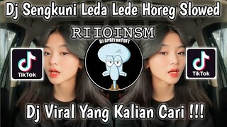 DJ SENGKUNI LEDA LEDE HOREG DIJE TEBANGH SLOWED 𝚁𝙸𝙸𝙾𝙸𝙽𝚂𝙼 VIRAL TIK TOK TERBARU 2023 !