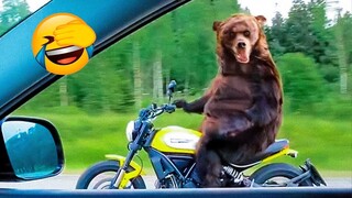 Funniest Animals Video - Best Cats😹 and Dogs🐶 Videos of 2023 !
