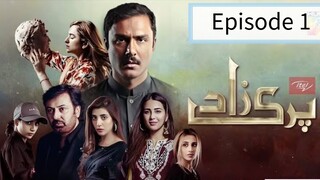 "Parizaad" Blockbuster Drama | Episode 1 | PK Drama | 2019