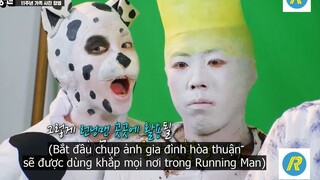 rm Những chú chó đôm đốm à