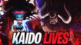 HOW KAIDO COULD SURVIVE WANO