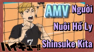 [Haikyu!!] AMV | Người Nuôi Hồ Ly - Shinsuke Kita