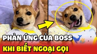 Phản ứng của Boss khi nghe có ĐIỆN THOẠI từ Bà Ngoại 😂 | Yêu Lu