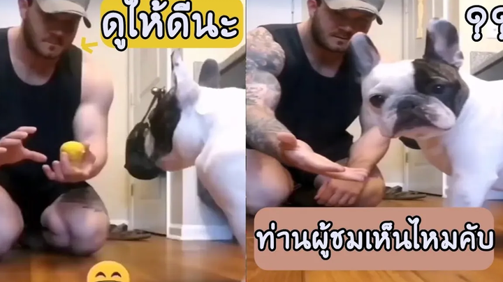 ท่านผู้ชมเห็นไหมคับรวมคลิป Fail (พากย์นรก) 410