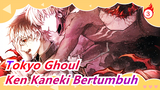[Tokyo Ghoul / Edit] Musim 1-4, Pertumbuhan Raja Mata Satu Ken Kaneki_3