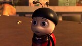 [2019] - The Ladybug