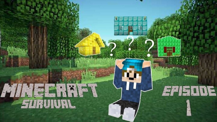 Minecraft Survival | A New Adventure | Ep 1