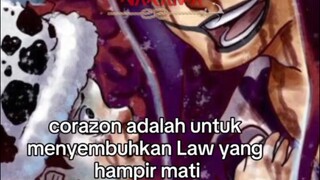 ikatan mendalam antara Corazon dan Trafalgar law