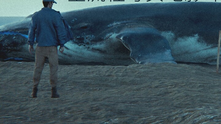 "Tutorial proses lengkap Blender Asli" Stranded Blue Whale |. Ciptakan lingkungan film yang realisti