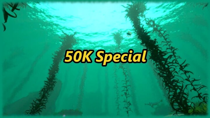 50k Special