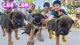 Pet Mới - Trang Và Vinh Xin Chó Con Về Nuôi [ Trang And Vinh ]
