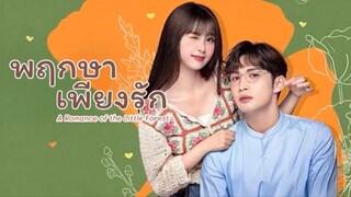 ตอน 34