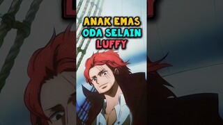 Anak Emas Oda Selain Luffy ❗| One Piece #shorts