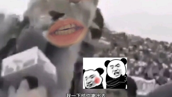 狮子：我给你苗一声？