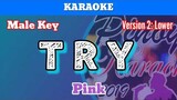 Try by Pink (Karaoke : Male Key : Lower Version)